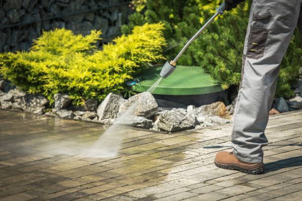 Best Sidewalk and Walkway Cleaning  in Ortonville, MI